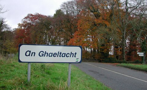 Údarás na Gaeltachta: Agencies & Support